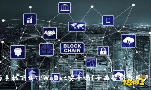 华为手机下载TPWallet安全吗？全面解析与用户指南