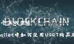 思考一个且的优质在TPWallet中如何使用USDT购买加