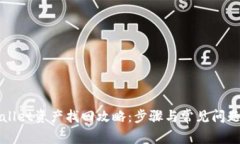 TPWallet资产找回攻略：步骤与常见问题详解