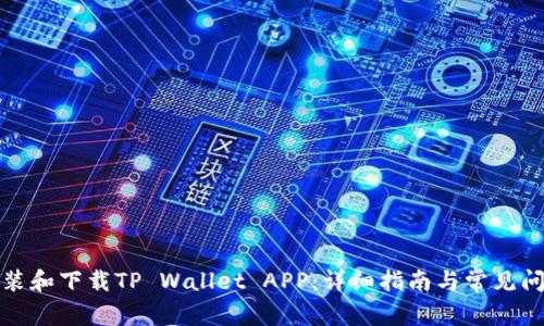如何安装和下载TP Wallet APP：详细指南与常见问题解答