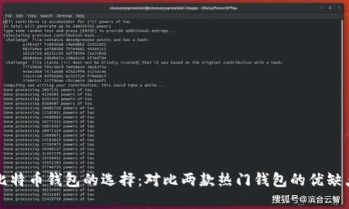 比特币钱包的选择：对比两款热门钱包的优缺点