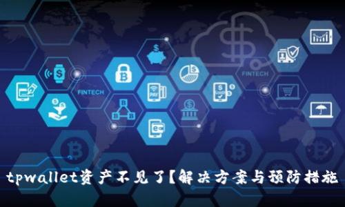 tpwallet资产不见了？解决方案与预防措施