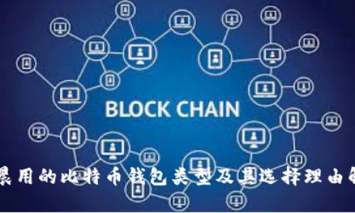李晨用的比特币钱包类型及其选择理由解析