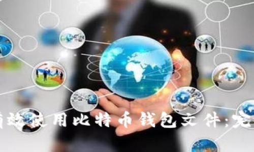 如何有效使用比特币钱包文件：完整指南