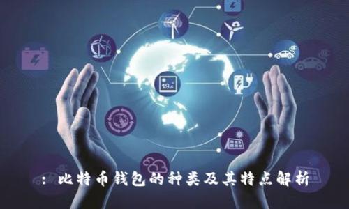 : 比特币钱包的种类及其特点解析