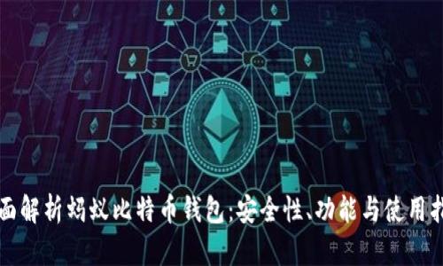 全面解析蚂蚁比特币钱包：安全性、功能与使用指南