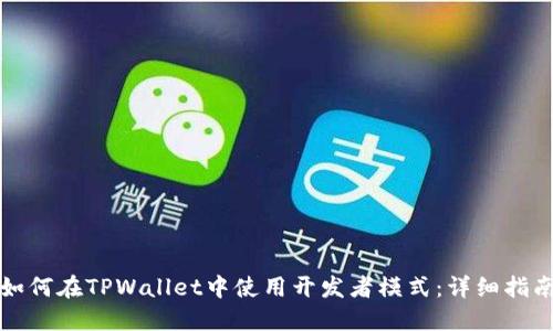 如何在TPWallet中使用开发者模式：详细指南