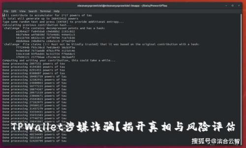 TPWallet涉嫌诈骗？揭开真相与风险评估