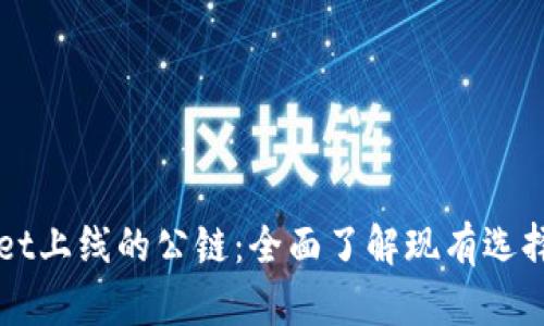 能在TPWallet上线的公链：全面了解现有选择与未来趋势