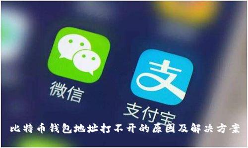 比特币钱包地址打不开的原因及解决方案