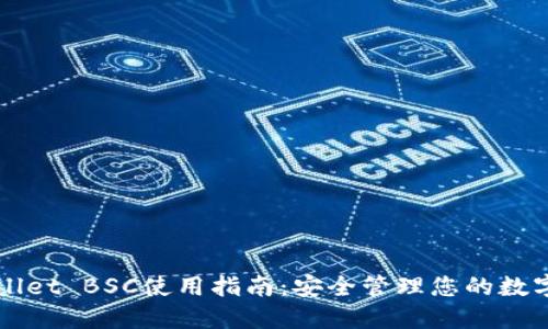 TPWallet BSC使用指南：安全管理您的数字资产