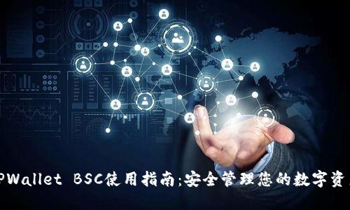 TPWallet BSC使用指南：安全管理您的数字资产