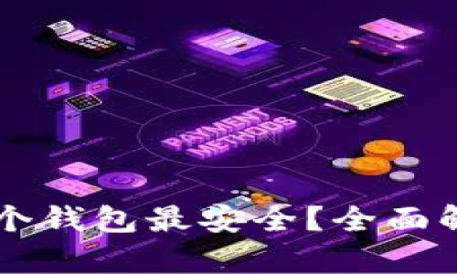 : USDT存放在哪个钱包最安全？全面解析各类钱包选择