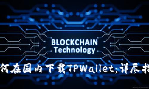 如何在国内下载TPWallet：详尽指南
