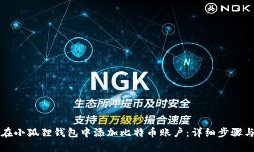如何在小狐狸钱包中添加比特币账户：详细步骤与指南