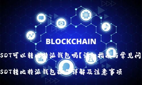 币安USDT可以转比特派钱包吗？详细指南与常见问题解答

币安USDT转比特派钱包操作详解及注意事项