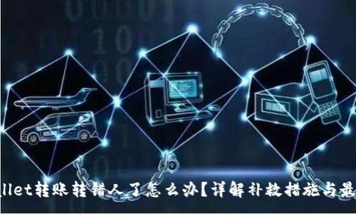 :
TP Wallet转账转错人了怎么办？详解补救措施与最佳实践