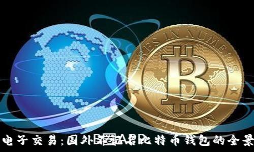   
跨国电子交易：国外不记名比特币钱包的全景解析