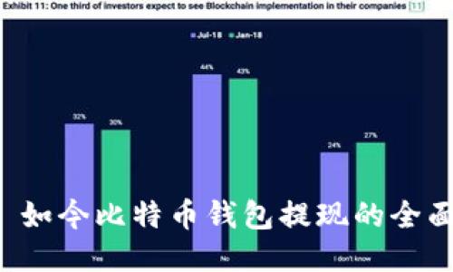 优质 如今比特币钱包提现的全面指南