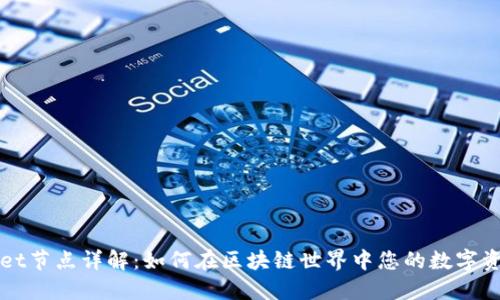 TPWallet节点详解：如何在区块链世界中您的数字资产管理
