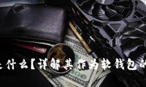 TPWallet 是什么？详解其作为软钱包的特性与优势