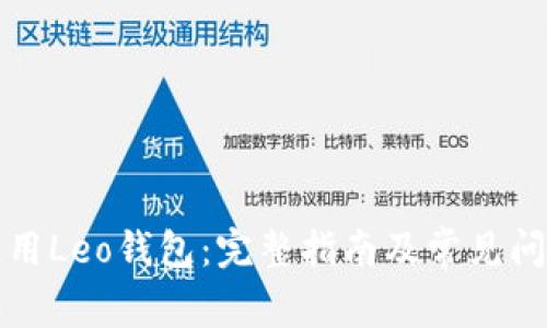 如何使用Leo钱包：完整指南及常见问题解析