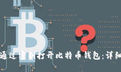 如何通过密钥打开比特币钱包：详细指南