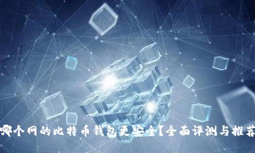 哪个网的比特币钱包更安全？全面评测与推荐