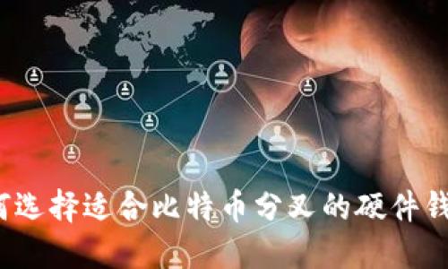 如何选择适合比特币分叉的硬件钱包？