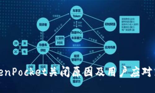 TokenPocket关闭原因及用户应对策略