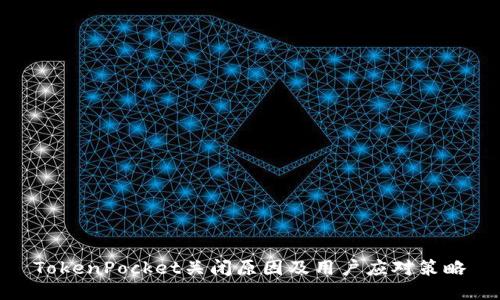 TokenPocket关闭原因及用户应对策略