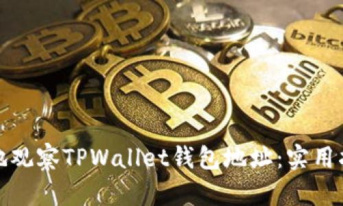 如何高效地观察TPWallet钱包地址：实用指南与技巧