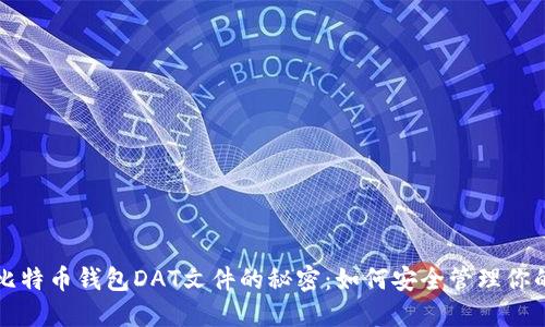 深入探索比特币钱包DAT文件的秘密：如何安全管理你的数字资产