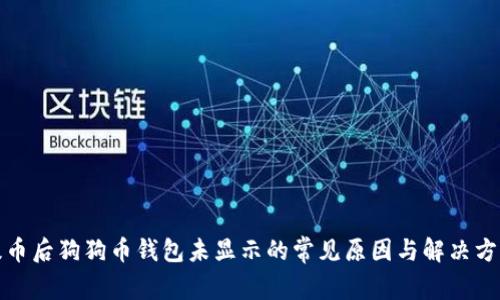 提币后狗狗币钱包未显示的常见原因与解决方案