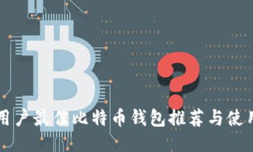 大陆用户最佳比特币钱包推荐与使用指南