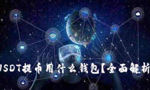 USDT提币用什么钱包？全面解析！