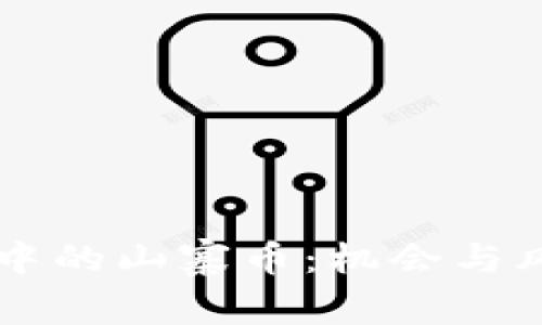 探索TPWallet中的山寨币：机会与风险的全面解析