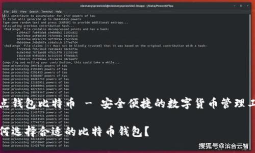 打点钱包比特币 - 安全便捷的数字货币管理工具

如何选择合适的比特币钱包？