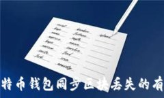   解决比特币钱包同步区块丢失的有效策略