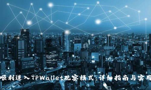 如何顺利进入TPWallet观察模式：详细指南与实用技巧