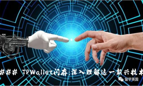 ### TPWallet闪存：深入理解这一新兴技术