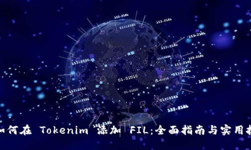 **如何在 Tokenim 添加 FIL：全面指南与实用技巧