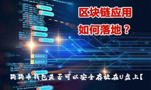 狗狗币钱包是否可以安全存放在U盘上？