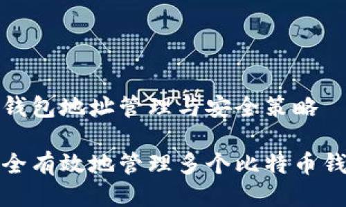 比特币钱包地址管理与安全策略

如何安全有效地管理多个比特币钱包地址
