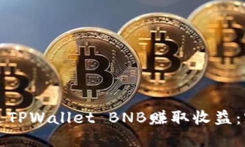 如何通过TPWallet BNB赚取收益：实用指南