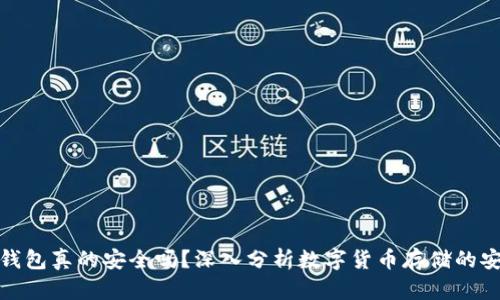 比特币放在钱包真的安全吗？深入分析数字货币存储的安全性与风险