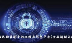 如何选择最安全的比特币钱包平台？全面解析与