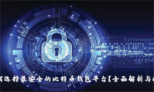 如何选择最安全的比特币钱包平台？全面解析与推荐