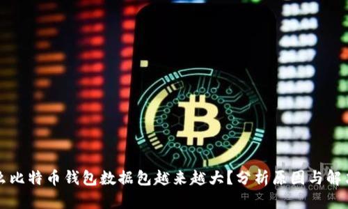 为什么比特币钱包数据包越来越大？分析原因与解决方案