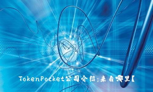 TokenPocket公司介绍：来自哪里？